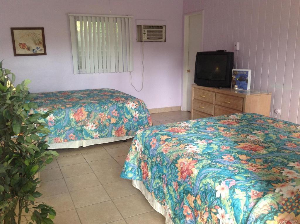 Seafarer Key Largo Resort And Beach Bilik gambar